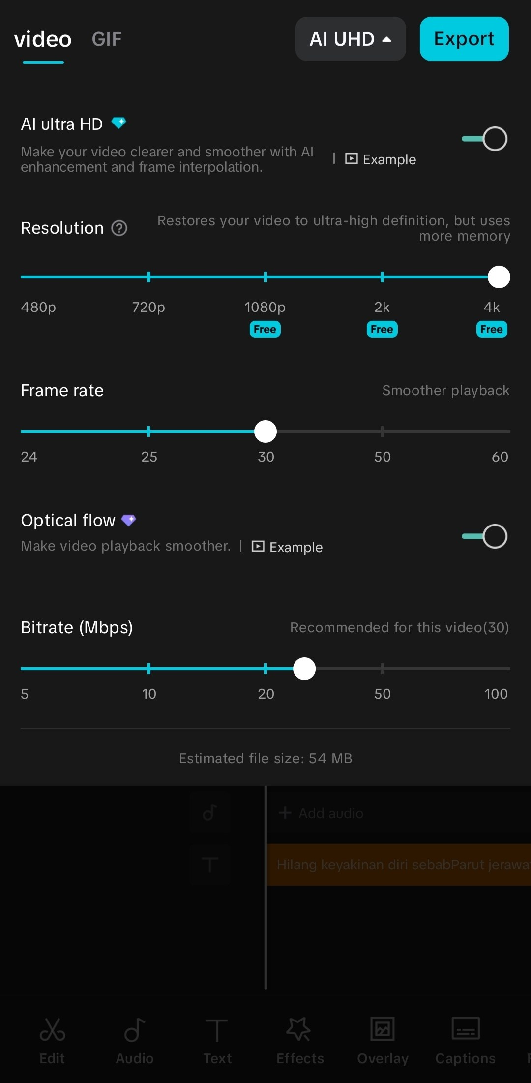 Sebelum upgrade pilihan export Free